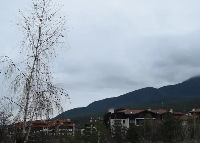 супер луксозен в Winslow Lägenhet Bansko